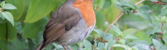ロンドンのイースターの祝い方
