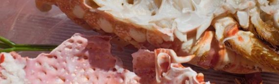 私たちが生きる時代を撮る、ヴォルフガング＝ティルマンス